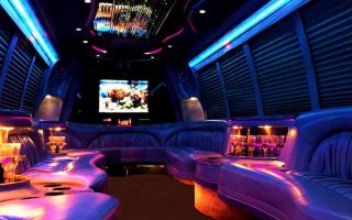 18 passenger party bus rental Miami