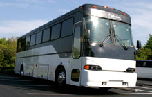 40-passenger-party-bus-near-fort-lauderdale