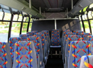 20 Person Mini Bus Rental Boca Raton